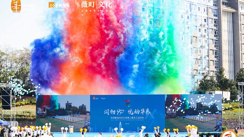 深圳市文化有限公司
